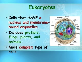 Eukaryotes Cells that HAVE  a nucleus and membrane-bound organelles Includes  protists, fungi, plants, and animals More  complex  type of cells 