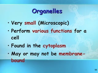 Organelles Very  small  (Microscopic) Perform  various functions  for a cell Found in the  cytoplasm May or may not be  membrane-bound 