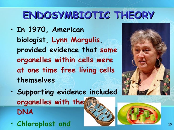 Cell structure lecture