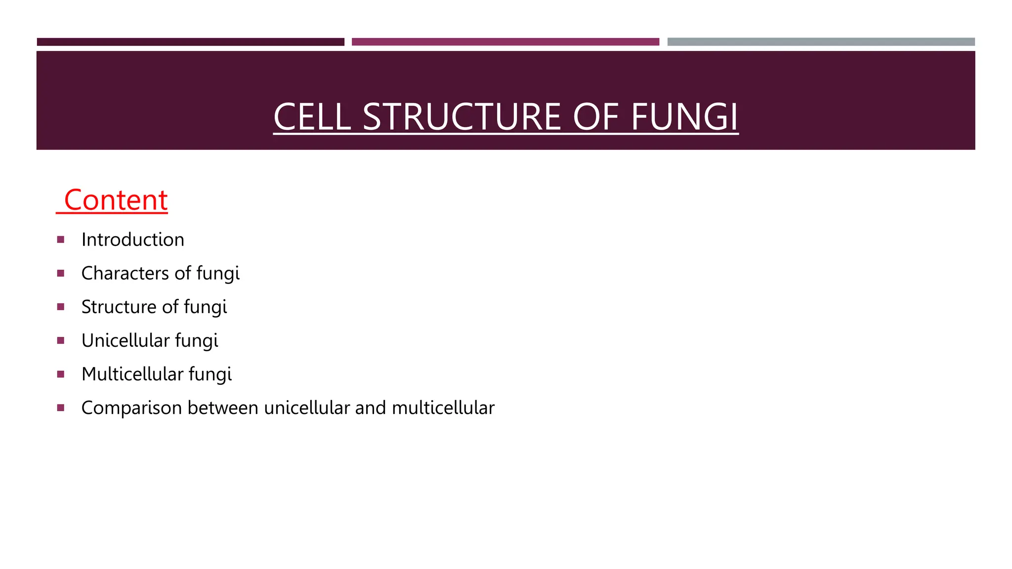 cell-structure-of-fungi-unicellular-and-multicellular-ppt
