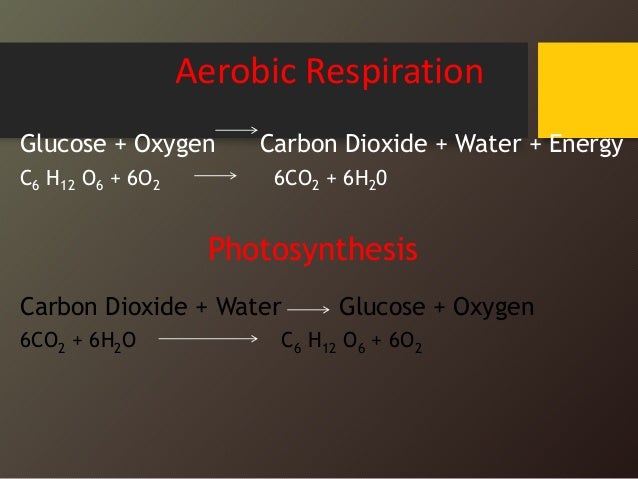 Cell structure & organisation