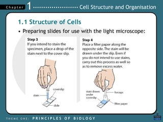 Cell structure & organisation | PPT