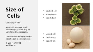 Cell Structure Part 1.pptxcell structure part 1 | PPTX