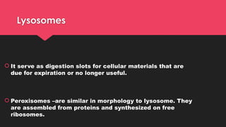 Lysosomes
 It serve as digestion slots for cellular materials that are
due for expiration or no longer useful.
 Peroxisomes –are similar in morphology to lysosome. They
are assembled from proteins and synthesized on free
ribosomes.
 
