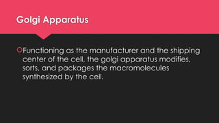 Golgi Apparatus
Functioning as the manufacturer and the shipping
center of the cell, the golgi apparatus modifies,
sorts, and packages the macromolecules
synthesized by the cell.
 