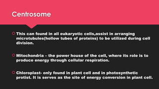 Centrosome
 This can found in all eukaryotic cells,assist in arranging
microtubules(hollow tubes of proteins) to be utilized during cell
division.
 Mitochondria – the power house of the cell, where its role is to
produce energy through cellular respiration.
 Chloroplast- only found in plant cell and in photosynthetic
protist. It is serves as the site of energy conversion in plant cell.
 