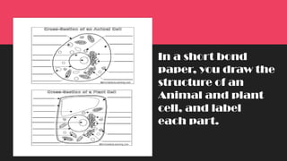 In a short bond
paper, you draw the
structure of an
Animal and plant
cell, and label
each part.
 
