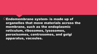 Endomembrane system- is made up of
organelles that move materials across the
membrane, such as the endoplasmic
reticulum, ribosomes, lysosomes,
peroxisomes, centrosomes, and golgi
apparatus, vacoules.
 
