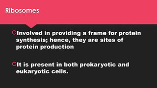 Ribosomes
Involved in providing a frame for protein
synthesis; hence, they are sites of
protein production
It is present in both prokaryotic and
eukaryotic cells.
 