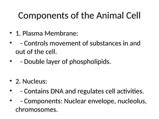 Components of the Animal Cell
• 1. Plasma Membrane:
• - Controls movement of substances in and
out of the cell.
• - Double layer of phospholipids.
• 2. Nucleus:
• - Contains DNA and regulates cell activities.
• - Components: Nuclear envelope, nucleolus,
chromosomes.
 