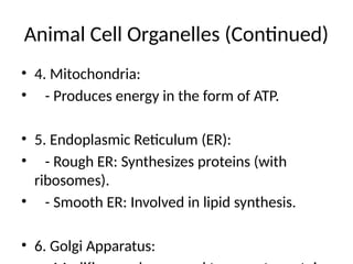 Animal Cell Organelles (Continued)
• 4. Mitochondria:
• - Produces energy in the form of ATP.
• 5. Endoplasmic Reticulum (ER):
• - Rough ER: Synthesizes proteins (with
ribosomes).
• - Smooth ER: Involved in lipid synthesis.
• 6. Golgi Apparatus:
 