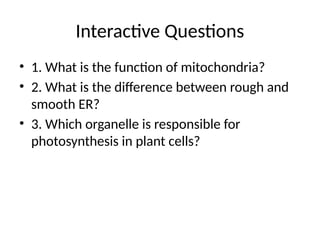 Interactive Questions
• 1. What is the function of mitochondria?
• 2. What is the difference between rough and
smooth ER?
• 3. Which organelle is responsible for
photosynthesis in plant cells?
 