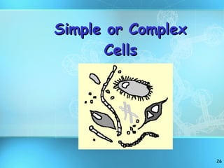 Simple or Complex Cells 