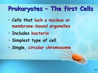 Prokaryotes – The first Cells Cells that  lack a nucleus or membrane-bound organelles Includes  bacteria Simplest type of cell Single,  circular chromosome 