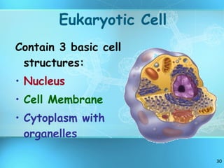 Eukaryotic Cell Contain 3 basic cell structures: Nucleus Cell Membrane Cytoplasm with organelles 
