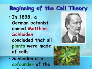 Beginning of the Cell Theory In 1838, a German botanist named  Matthias Schleiden  concluded that all  plants  were made of cells Schleiden is a  cofounder  of the cell theory 