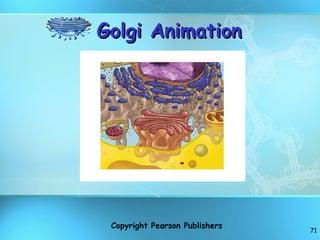 Golgi Animation  Copyright Pearson Publishers 