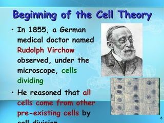 Beginning of the Cell Theory In 1855, a German medical doctor named  Rudolph Virchow  observed, under the microscope,  cells dividing He reasoned that  all cells come from other pre-existing cells  by cell division 