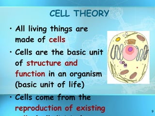 CELL THEORY All living things are made of  cells Cells are the basic unit of  structure and function  in an organism (basic unit of life) Cells come from the  reproduction of existing cells  (cell division) 