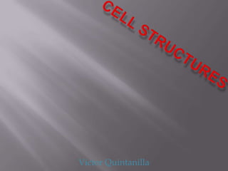 Cell Structures Victor Quintanilla 