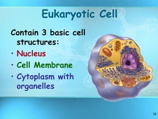 Cell structure | PPT