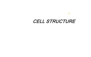 Cell structure, wk