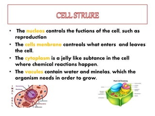• The nucleos controls the fuctions of the cell, such as
reproduction
• The cells menbrane contreols what enters and leaves
the cell.
• The cytoplasm is a jelly like subtance in the cell
where chemical reactions happen.
• The vacules contain water and minelas, which the
organism needs in order to grow.
 