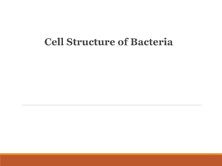 Cell Structure of Bacteria
 