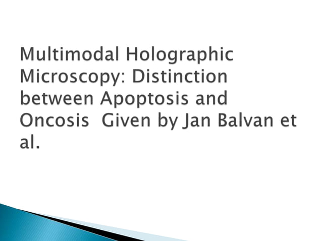 Documentation Of Morphology A And Apoptosis In Organotypic