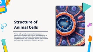 Cells_ Units of Life.pptx of diff between animal cell and plant cells ...