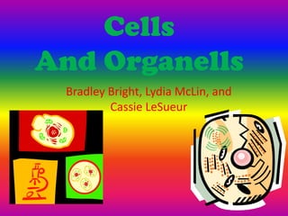 Cells
And Organells
 Bradley Bright, Lydia McLin, and
         Cassie LeSueur
 