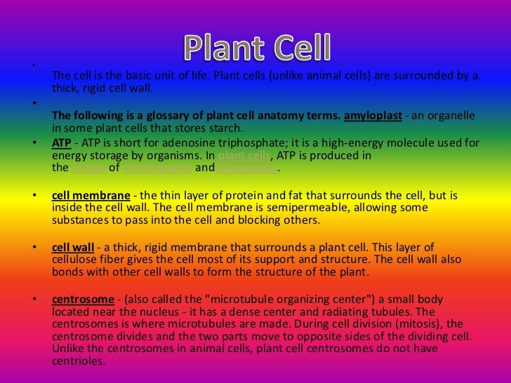 Cells and Organelles