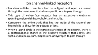 Ion channel-linked receptors
• Ion channel-linked receptors bind to a ligand and open a channel
through the membrane that allows specific ions to pass through.
• This type of cell-surface receptor has an extensive membrane-
spanning region with hydrophobic amino acids.
• Conversely, the amino acids that line the inside of the channel are
hydrophilic to allow for the passage of ions.
• When a ligand binds to the extracellular region of the channel, there is
a conformational change in the protein’s structure that allows ions
such as sodium, calcium, magnesium, or hydrogen to pass through
 