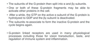 • The subunits of the G-protein then split into α and βγ subunits.
• One or both of these G-protein fragments may be able to
activate other proteins in the cell.
• After a while, the GTP on the active α subunit of the G-protein is
hydrolyzed to GDP and the βγ subunit is deactivated.
• The subunits re-associate to form the inactive G-protein and the
cycle begins again.
• G-protein linked receptors are used in many physiological
processes including those for vision transduction, taste, and
regulation of immune system and inflammation.
 