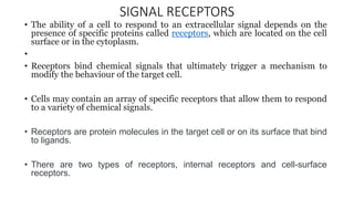 SIGNAL RECEPTORS
• The ability of a cell to respond to an extracellular signal depends on the
presence of specific proteins called receptors, which are located on the cell
surface or in the cytoplasm.
•
• Receptors bind chemical signals that ultimately trigger a mechanism to
modify the behaviour of the target cell.
• Cells may contain an array of specific receptors that allow them to respond
to a variety of chemical signals.
• Receptors are protein molecules in the target cell or on its surface that bind
to ligands.
• There are two types of receptors, internal receptors and cell-surface
receptors.
 