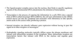 • The ligand-receptor complex moves into the nucleus, then binds to specific regulatory
regions of the chromosomal DNA and promotes the initiation of transcription.
•
• Transcription is the process of copying the information in a cells DNA into a special
form of RNA called messenger RNA (mRNA); the cell uses information in the mRNA
(which moves out into the cytoplasm and associates with ribosomes) to link specific
amino acids in the correct order, producing a protein.
• Internal receptors can directly influence gene expression without having to pass the
signal on to other receptors or messengers.
• Hydrophobic signaling molecules typically diffuse across the plasma membrane and
interact with intracellular receptors in the cytoplasm. Many intracellular receptors are
transcription factors that interact with DNA in the nucleus and regulate gene
expression.
 