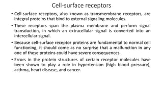 Cell-surface receptors
• Cell-surface receptors, also known as transmembrane receptors, are
integral proteins that bind to external signaling molecules.
• These receptors span the plasma membrane and perform signal
transduction, in which an extracellular signal is converted into an
intercellular signal.
• Because cell-surface receptor proteins are fundamental to normal cell
functioning, it should come as no surprise that a malfunction in any
one of these proteins could have severe consequences.
• Errors in the protein structures of certain receptor molecules have
been shown to play a role in hypertension (high blood pressure),
asthma, heart disease, and cancer.
 