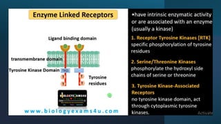 Cell Surface Receptor & internal Receptor.pptx