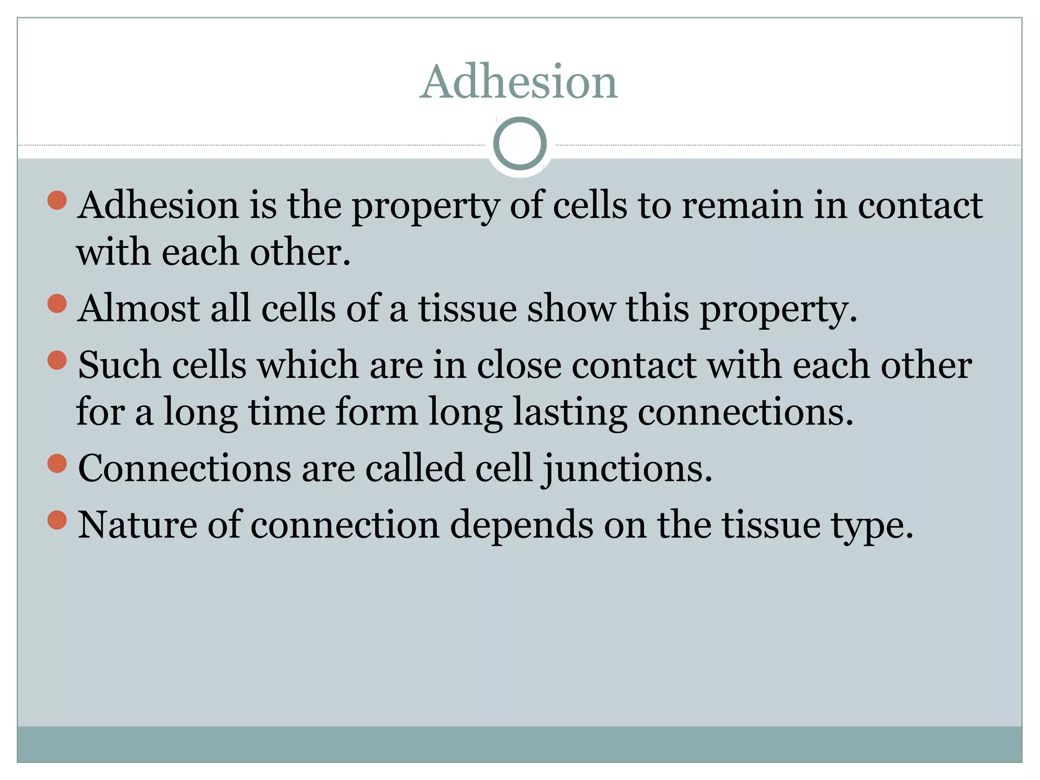 Adhesion
Adhesion is the property of cells to remain in contact
with each other.
Almost all cells of a tissue show this property.
Such cells which are in close contact with each other
for a long time form long lasting connections.
Connections are called cell junctions.
Nature of connection depends on the tissue type.
 