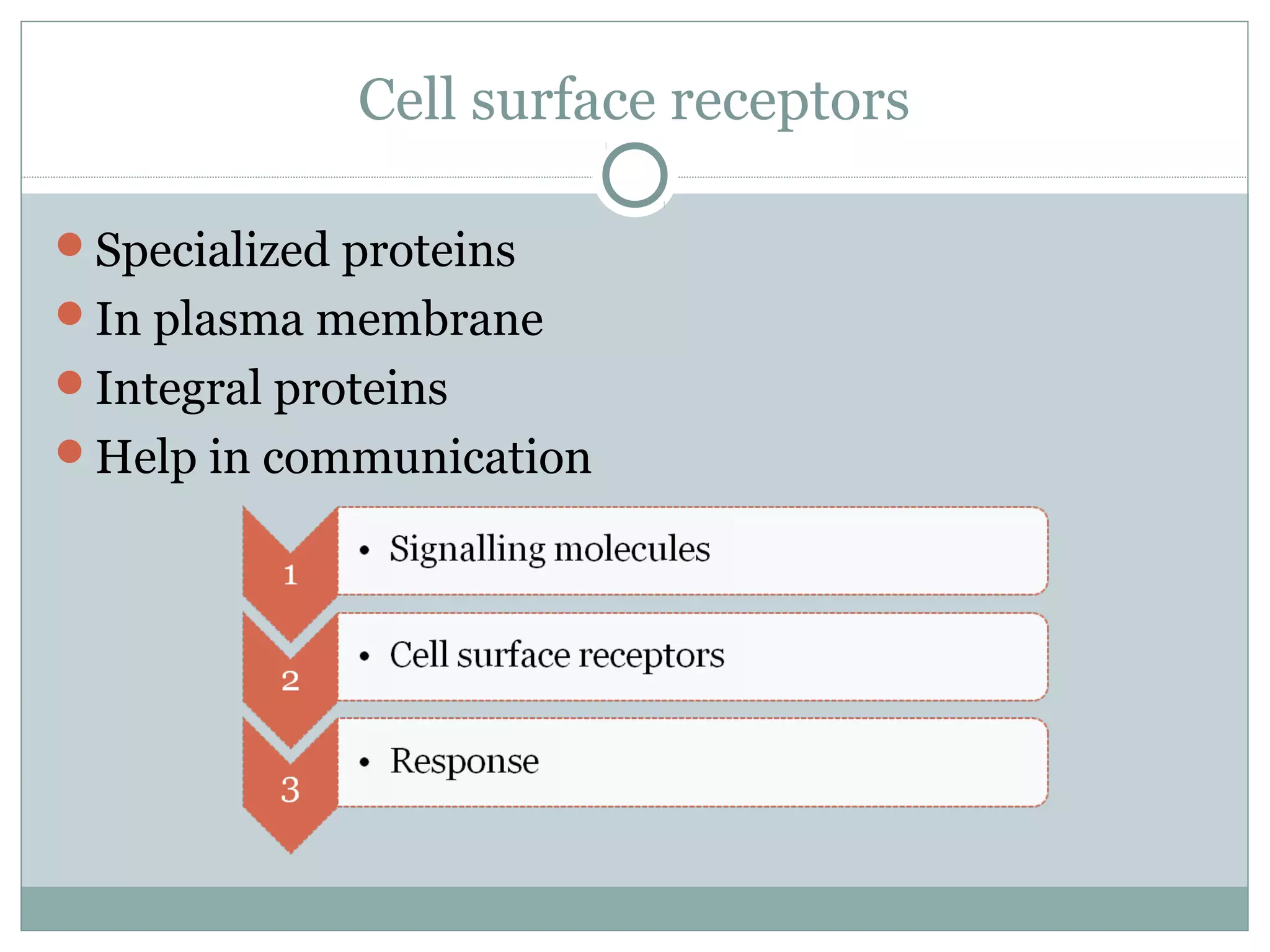Cell surface receptors
Specialized proteins
In plasma membrane
Integral proteins
Help in communication
 