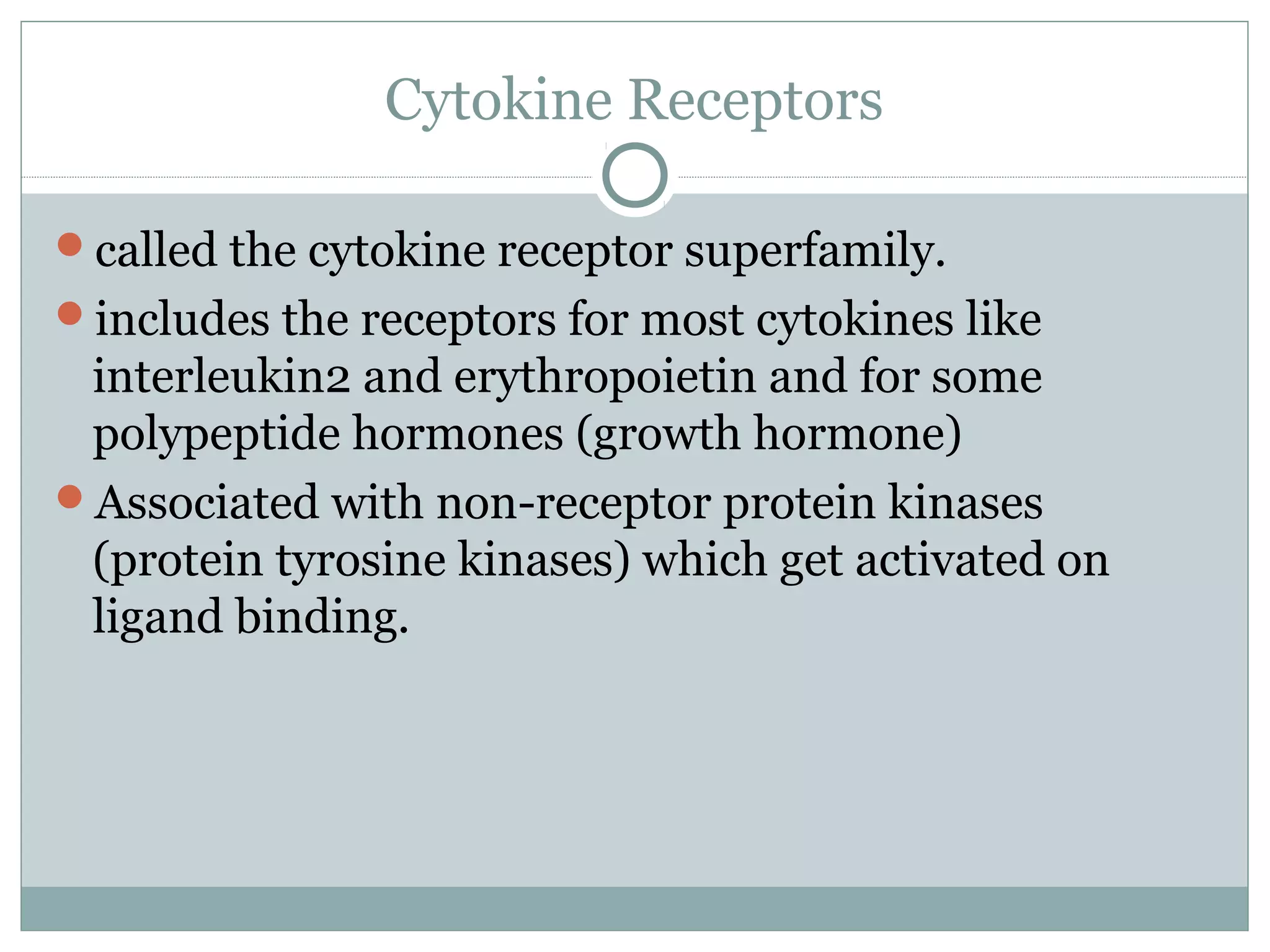 Cytokine Receptors
called the cytokine receptor superfamily.
includes the receptors for most cytokines like
interleukin2 and erythropoietin and for some
polypeptide hormones (growth hormone)
Associated with non-receptor protein kinases
(protein tyrosine kinases) which get activated on
ligand binding.
 