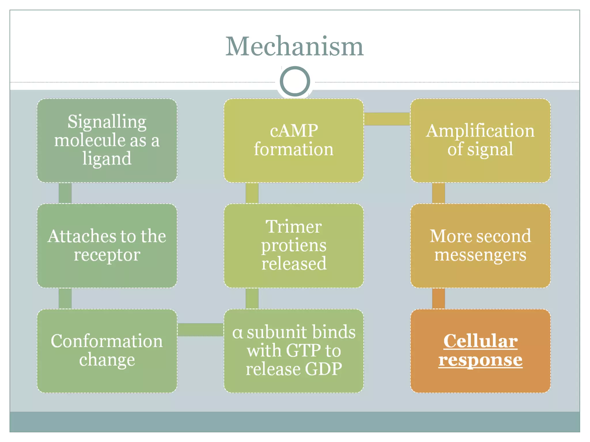 Mechanism
 