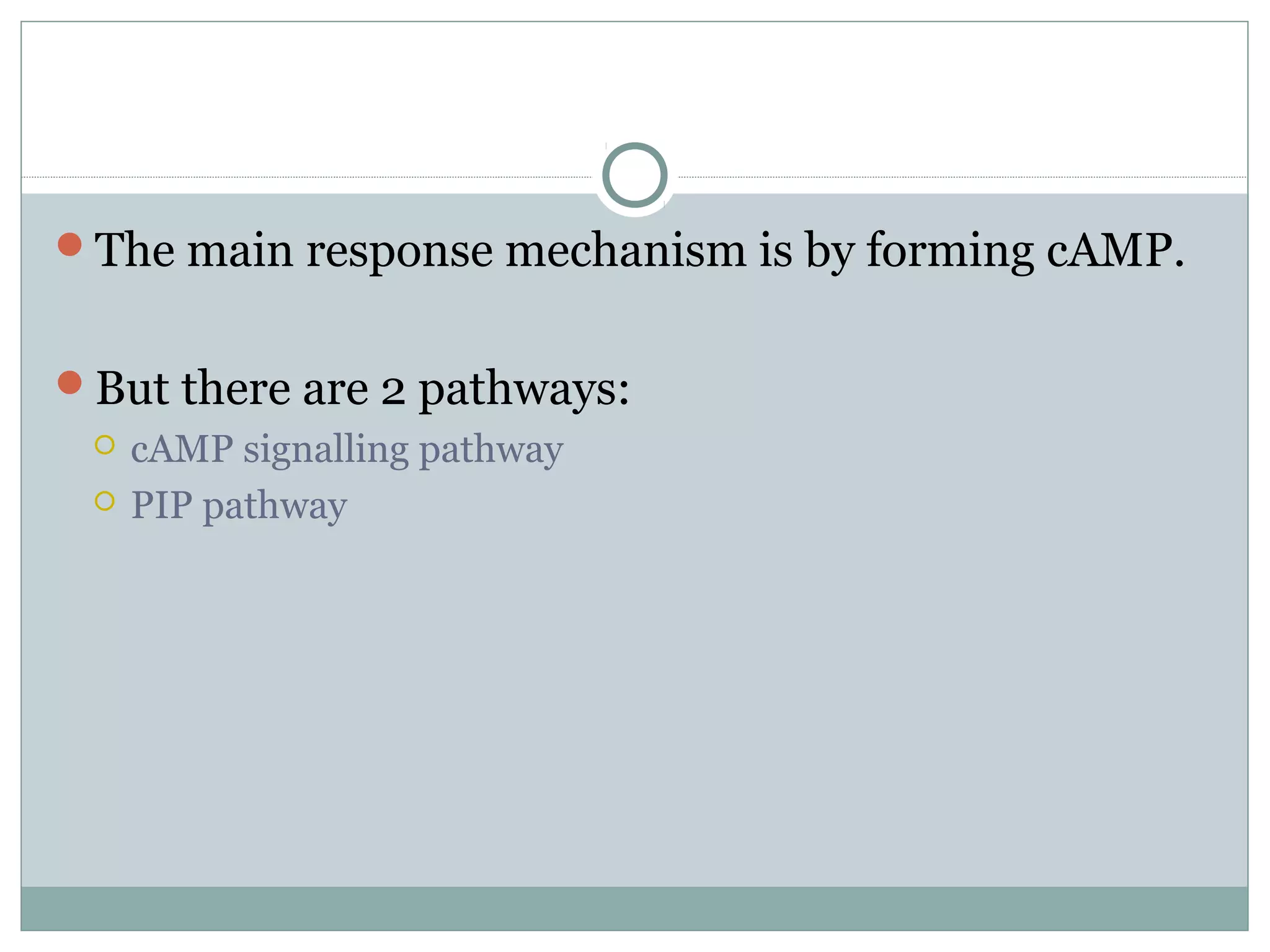 The main response mechanism is by forming cAMP.
But there are 2 pathways:
 cAMP signalling pathway
 PIP pathway
 