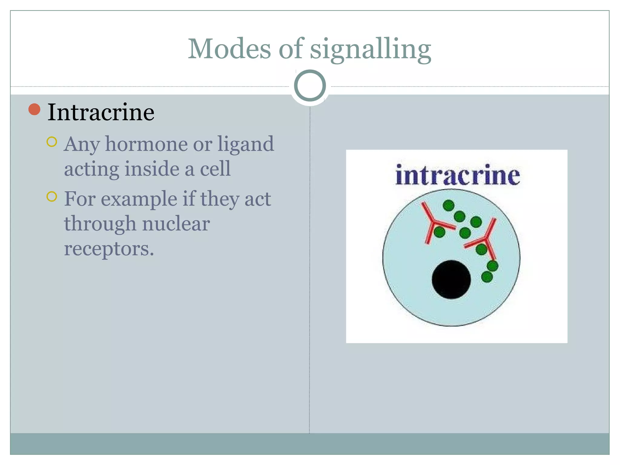 Modes of signalling
Intracrine
 Any hormone or ligand
acting inside a cell
 For example if they act
through nuclear
receptors.
 