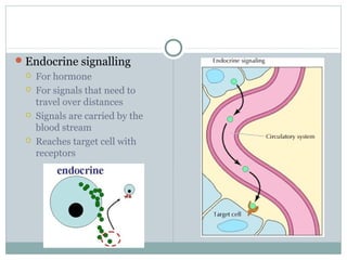 Cell surface receptors and signalling molecules | PPT