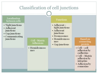 Cell surface receptors and signalling molecules | PPT