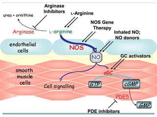 Cell surface receptors and signalling molecules | PPT