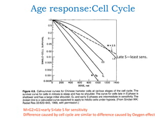 Cell survival curve | PPTX
