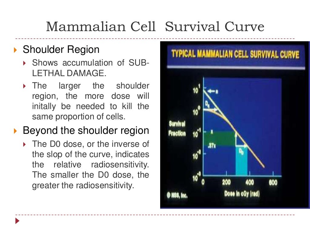 Cell survival curve
