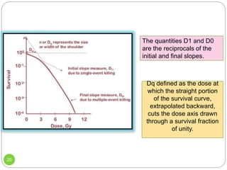 Cell survival curve | PPTX